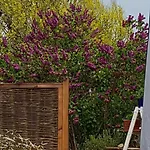Appartement Bergblick Und